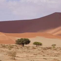 День 7. НАМИБИЯ. РАССВЕТ НА ДЮНАХ И DEAD VLEI