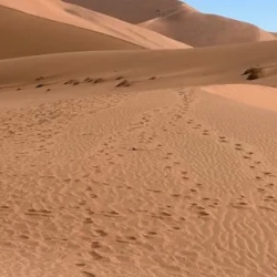 День 8. Намибия. Deadvlei и Свакопмунд.