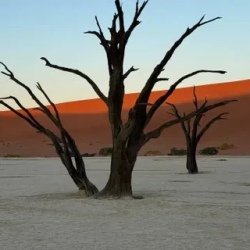 День 8. Намибия. Deadvlei и Свакопмунд.