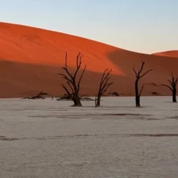 День 8. Намибия. Deadvlei и Свакопмунд.