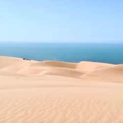 День 8. Уолфиш-Бэй: морской круиз и встреча дюн с океаном