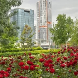 День 8. Ташкент