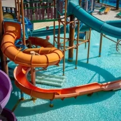 День 5. Adventure Cove: день эмоций