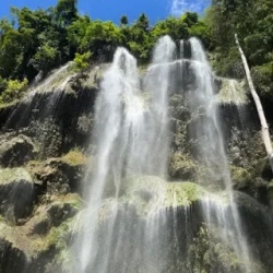 День 4. Китовые акулы и водопад