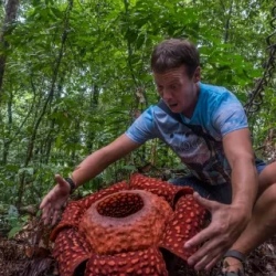 День 3. Нацпарки в окрестностях Кучинга. Гунунг Гадинг