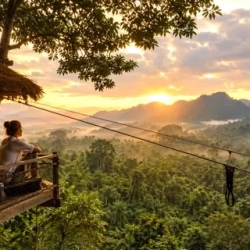 День 5. Gibbon Experience — жизнь среди джунглей