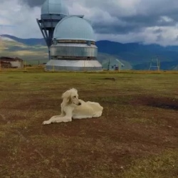День 6. Плато Ассы, Тургеньское ущелье (доп плата)
