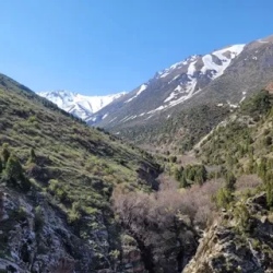 День 2. Тараз и переезд в Джабаглы