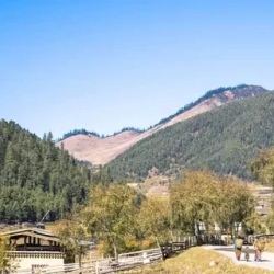 День 4. Punakha to Gangtey / Phobjikha Valley.