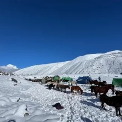 День 10. Robluthang to Lemithang