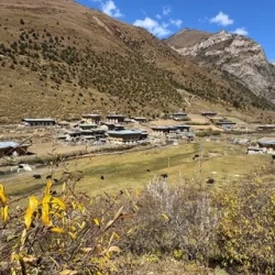 День 12. Laya Halt