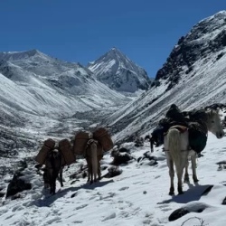 День 8. Chebisa to Shomuthang