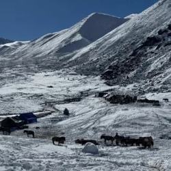 День 9. Shomuthang to Robluthang