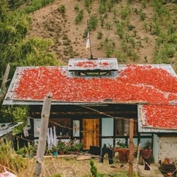 День 15. Excursion to Haa Valley via Chele La Pass