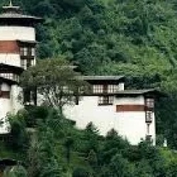 День 5. Gangtey to Trongsa
