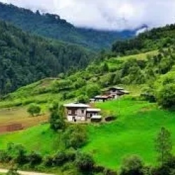 День 5. Gangtey to Trongsa