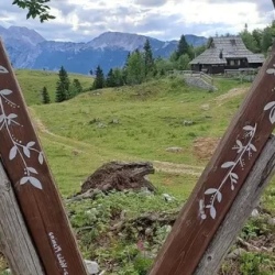 День 1. Встреча и первые шаги