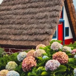 День 3. Фотосессия на черном пляже, уютная Сантана