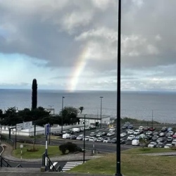 День 8. At breve! Obrigada, Madeira!