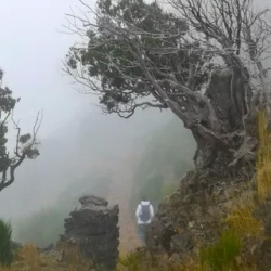 День 2. Камача, Левада Балконы, Левада Ribeiro Frio Port