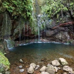 День 4. Субстропические леса, водопады и горы