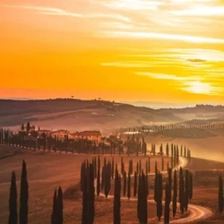 День 4. Дегустация Brunello di Montalcino – погружение в м