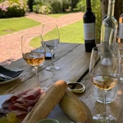 День 4. Stellenbosch