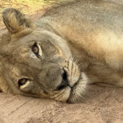 День 7. Kruger National Park