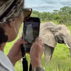 День 7. Kruger National Park