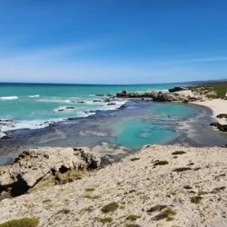 День 3. De Hoop national Reserve