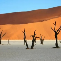 День 8. Намибия. Deadvlei и Свакопмунд