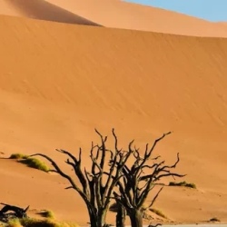 День 8. Намибия. Deadvlei и Свакопмунд