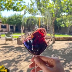 День 4. Винодельни: Стелленбош и Франчхук