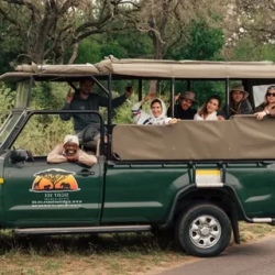День 7. Safari day в Крюгере — в поисках Большой пятерки