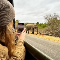День 7. Kruger National Park