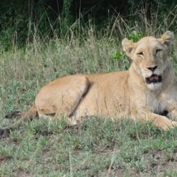 День 2. Monday, JOHANNESBURG - MPUMALANGA (KRUGER NATIONAL