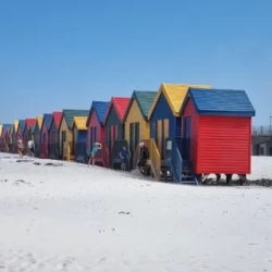 День 3. Пингвины. Вино. Отдых на пляже.