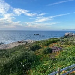 День 5. Морское сафари