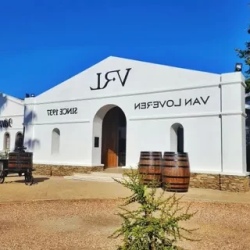 День 3. Stellenbosch и мурчащие гепарды