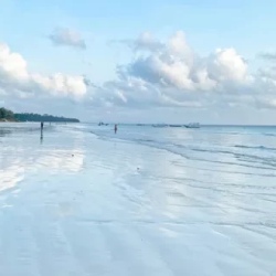 День 11. Опционально: Diani Beach