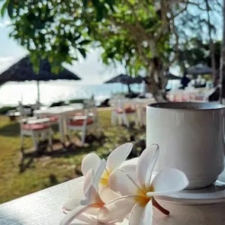 День 11. Опционально: Diani Beach