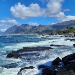 День 4. Hermanus