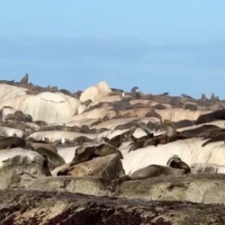 День 5. Cape Of Good Hope