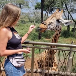 День 10. Giraffe Centre