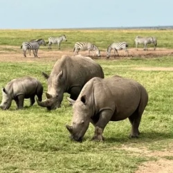День 7. Nairobi National Park