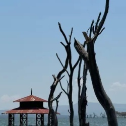 День 9. Naivasha