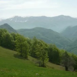 День 2. Прогулки в Нацпарке Биоградская гора
