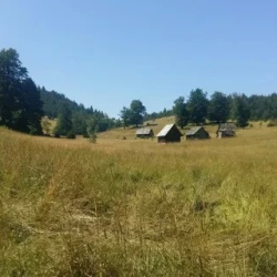 День 3. Прогулки в Национальном парке Тара