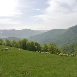 День 2. Прогулки в Национальном парке Биоградская гора