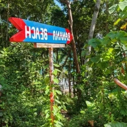 День 4. Банановый пляж и ужин на закате